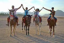 Horse Riding Safari