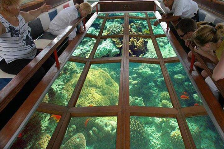 Glass bottom boat