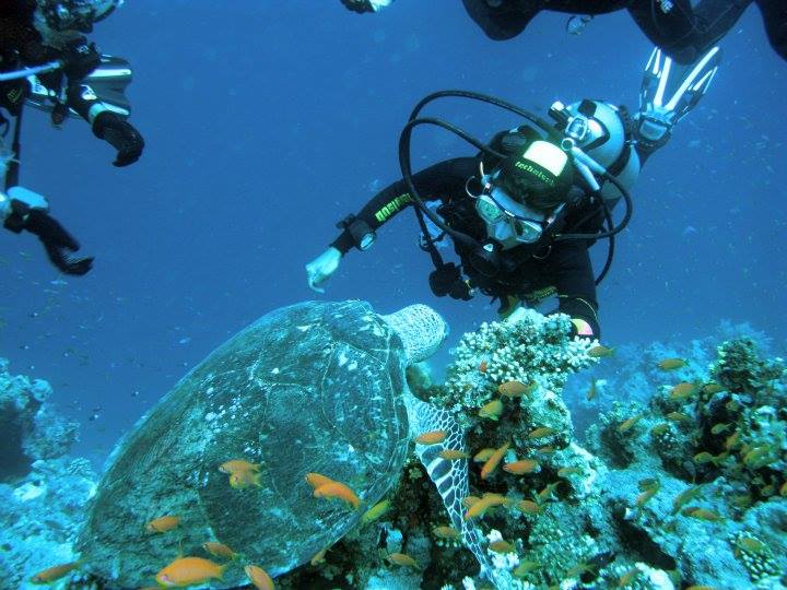 Diving with Submarine in Hurghada | Sindbad Submarine Red Sea